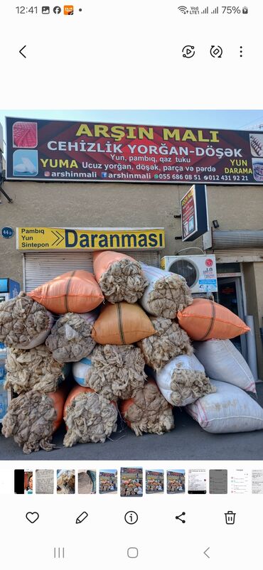 Yun: QOYUN YUNU SATILIR Şamaxı yunu — 9