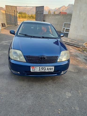 Toyota Corolla: 2004 г., 1.6 л, Бензин, Седан — 5