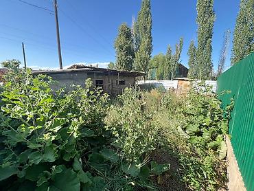 Продажа коттеджей и домов: 4 комнаты, 151 м², 429 соток, Кызыл-Суу, Собственник — 18