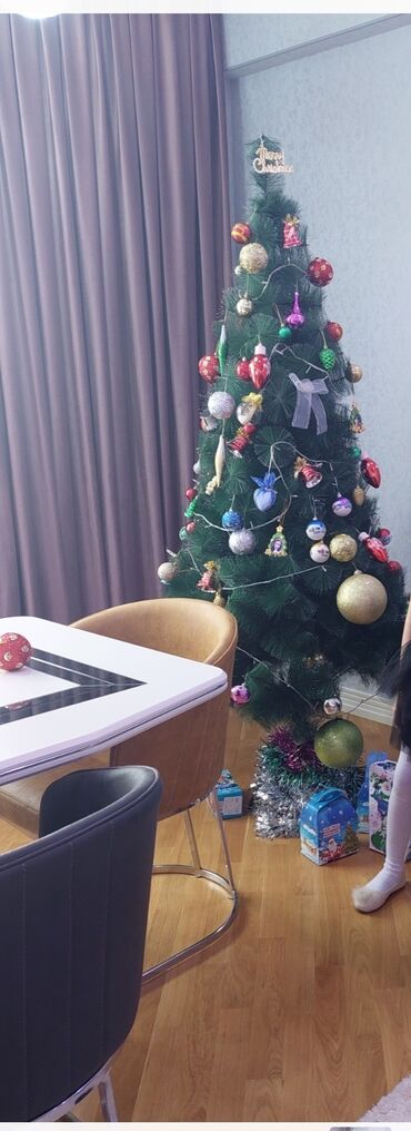 20 yanvar sekilleri yukle: Hündür şam agaci az işlenmiş yeni kimi