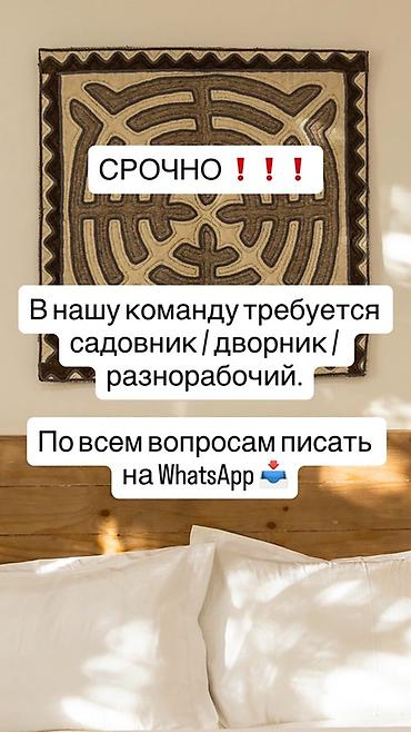 Работа: Вакансия: мастер на все руки - садовник / дворник / разнорабочий — 1