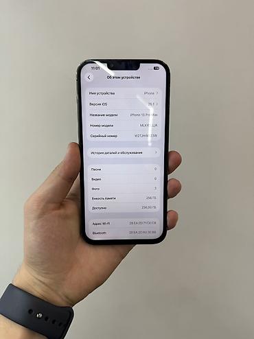 level up gb001: IPhone 13 Pro Max, Б/у, 256 ГБ, Alpine Green, Защитное стекло, Чехол, 83 % — 5