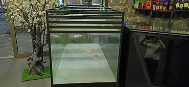akvarium zavod istehsalı: Metal, Zəmanətsiz, Kredit yoxdur — 5
