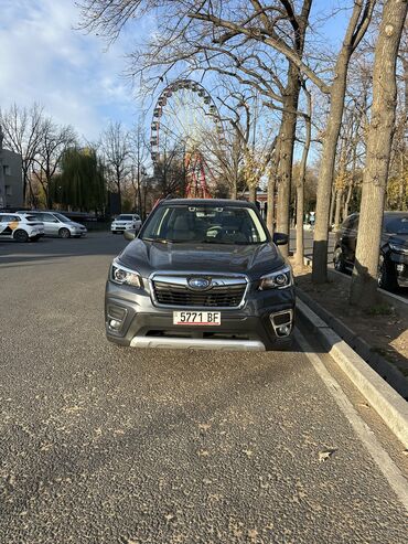 субару порестир: Subaru Forester: 2019 г., 2.5 л, Вариатор, Бензин, Кроссовер