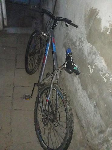 Velosipedlər: UMG Global Show MTB velosiped - Tip: Dağ velosipedi (MTB), hardtail - — 2