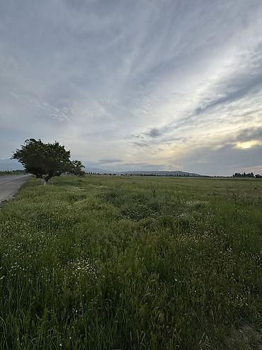 инвестор кж: 282 соток, Для строительства, Красная книга — 9