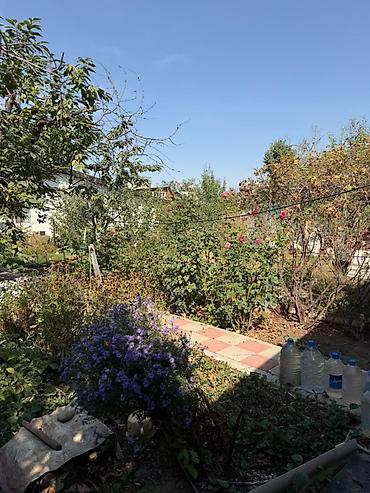 Жер тилкелерин сатуу: 🌿 Продаётся дом с большим ухоженным участком — 4,25 сотки 📍 Байтик — 9