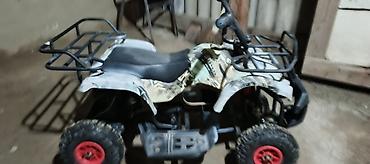 ucuz usaq oyuncaqlari: Elektrik uşaq kvadrosikl və qoşqu - Növ: elektrikli uşaq ATV (4 — 7