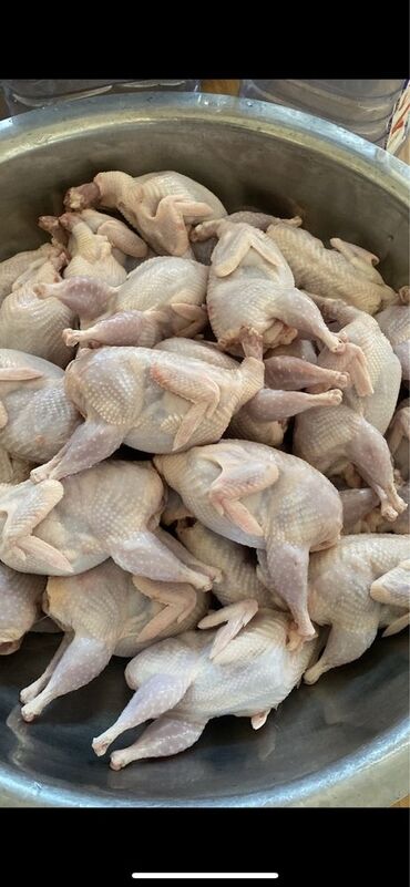 купить корм для перепелов несушек: Пpодaю живых перепелок самцов на мясо! 🐥 ✅ Перепелa выращивaются нa