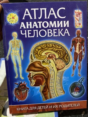 книги английского языка: Атлас анатомии человека — иллюстрированная энциклопедия для детей и их