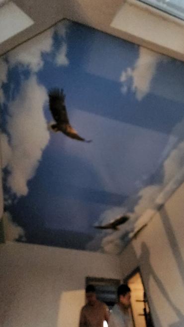 Натяжной потолок: Натяжной потолок Глянцевое, Матовое, 3D потолки at lalafo.kg — 13 Натяжной потолок: Натяжной потолок Глянцевое, Матовое, 3D потолки — 13