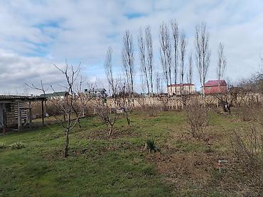 Həyət evləri və villaların satışı: 5 otaqlı, 120 kv. m, Kredit var — 5