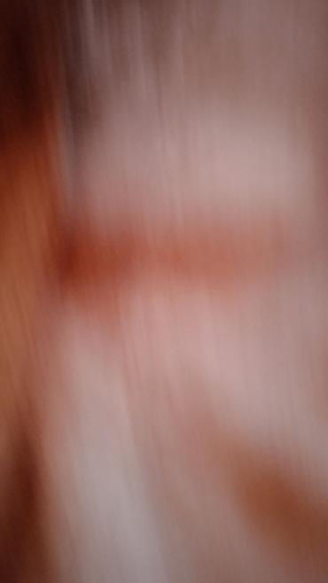 Дубленки: Дубленка, Классическая модель, По колено, M — 6