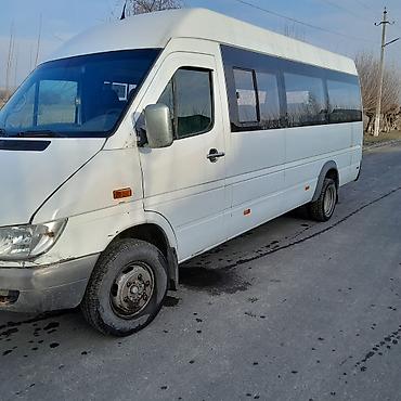в манасе: Пункт назначения: Манас (Джалал-Абад), Количество мест: 21, Лицензия №: 325 — 2