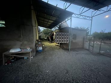 sutkaliq evlərin icarəsi: Salam alekum ev satlır 3 otaq 1 boyuk zal 1 metbex mal damı yay ve qıs — 2