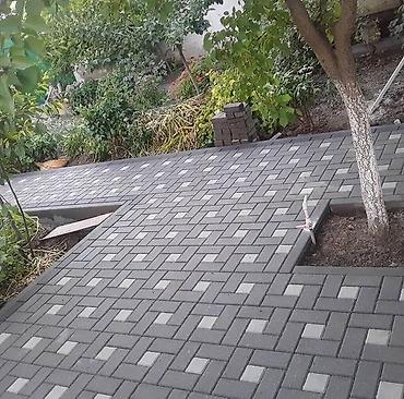 solon maları: Öz şesxsi zavod mallarimizdir artiq söze ehtiyac yoxdur mehsular — 6