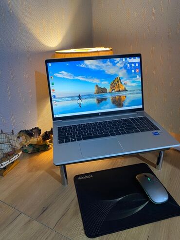 HP: HP ProBook noutbuk - Model: HP ProBook (seriya iş nişanlı, korpus — 2