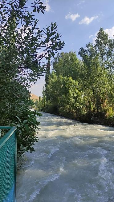 Посуточная аренда: Сдаю дачу на большую компанию до 25 человек. В селе Беш-кунгей. На — 8