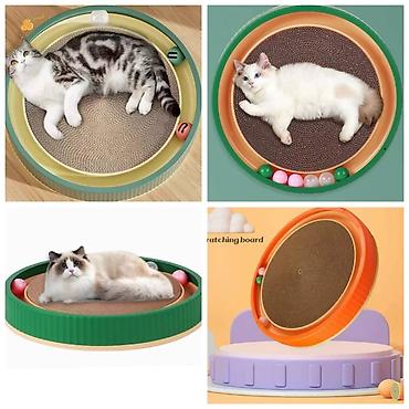 Зоотовары: Продаю игрушку/когтеточку/лежанку 3в1,с кошачей мятой,вашему котику — 1