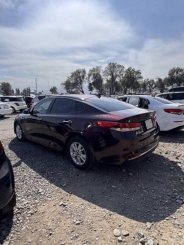 киа спортрейж: Kia Optima: 2017 г., 2.4 л, Автомат, Бензин, Седан — 4