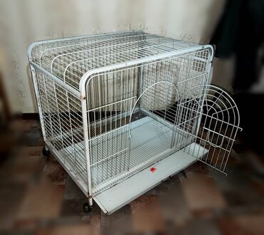 большие клетки для птиц: Продаю собачью клетку. Металлическая, разборная, на колёсиках, с
