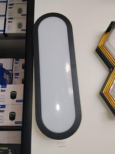 светодиодные лампа: Светодиодный настенный светильник овальной формы - Тип: LED — 3