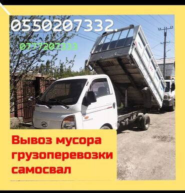ремонт автомат коробка бишкек: Porter, Регион боюнча, жүк ташуучу жумушчусу менен