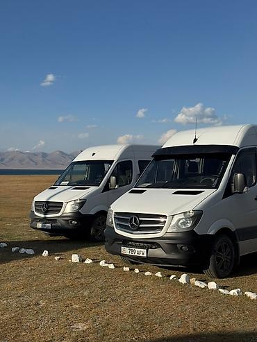 машина 14: Пассажирские перевозки на микроавтобусах Mercedes‑Benz Sprinter - — 2