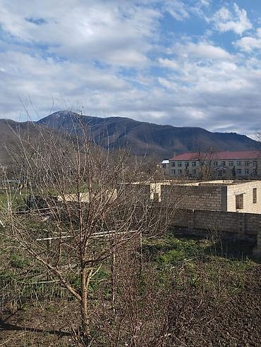 Torpaq sahələrinin satışı: 14 sot, Makler, Kupça (Çıxarış) — 5