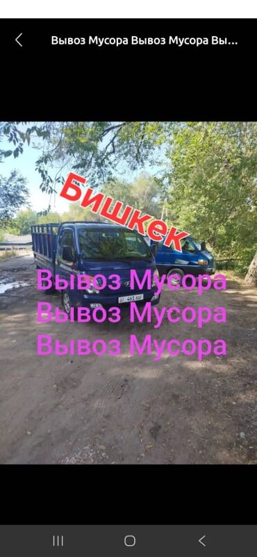 восточная ориентальная кошка: Вывоз мусора вывоз мусора вывоз мусора вывоз мусора вывоз мусора