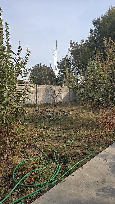 баткенге жардам: 50 м², 3 бөлмө, Аска-Таш ж/м, Үй-бүлөлүүлөргө — 2
