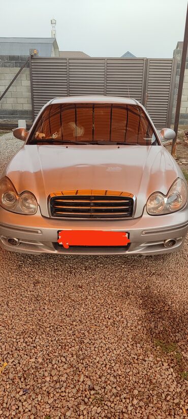Hyundai: Hyundai Sonata: 2004 г., 2 л, Автомат, Бензин, Седан — 3