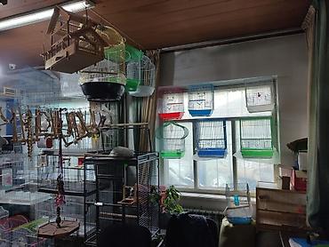 Зоотовары: Клетки для птиц! — 2