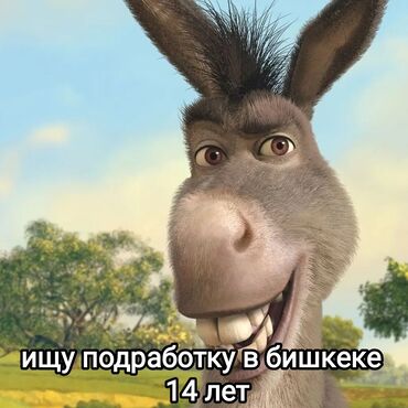 упаковка для пельменей: Ищу подработку в г. Бишкек 14 лет учусь всему быстро могу всё если
