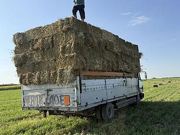 1kr fe: Mercedes-Benz : 1994 г., 6 л, Механика, Дизель — 5