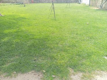 Torpaq sahələrinin satışı: Kənd təsərrüfatı