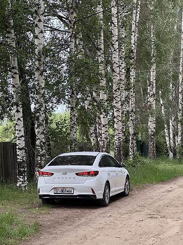 lf sonata: Hyundai Sonata: 2020 г., 2 л, Автомат, Бензин, Седан — 4