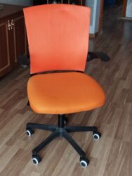 питомник растений в баку: Ofis oturacaqları