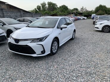 продажа ниссан: Toyota Corolla: 2019 г., 1.8 л, Автомат, Гибрид, Седан