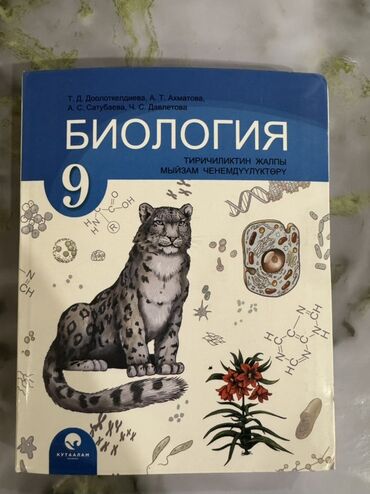 лыжи купить бишкек: 📘 Биология 9 класс (Доолоткельдиева, Ахматова, Сатыбаева, Давлетова)