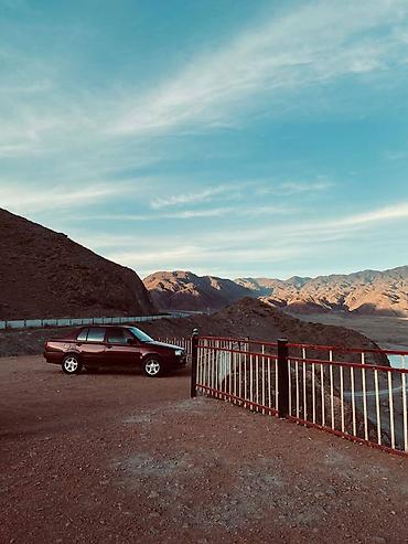 Volkswagen: Volkswagen Vento: 1993 г., 1.8 л, Механика, Газ, Седан — 2