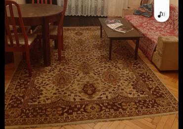 велюровые ковры для дома: Xalça