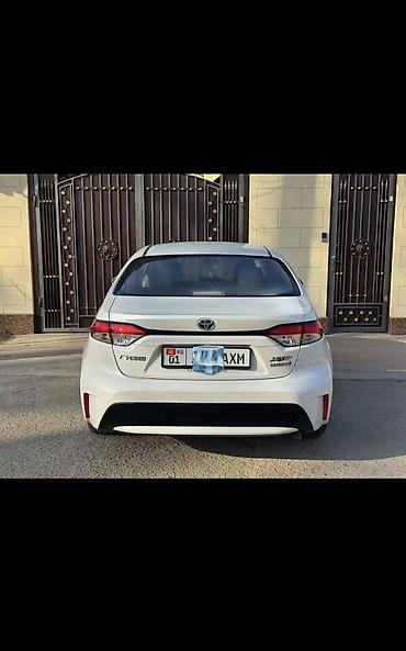 levin: Бампер Toyota, Новый, Аналог — 1