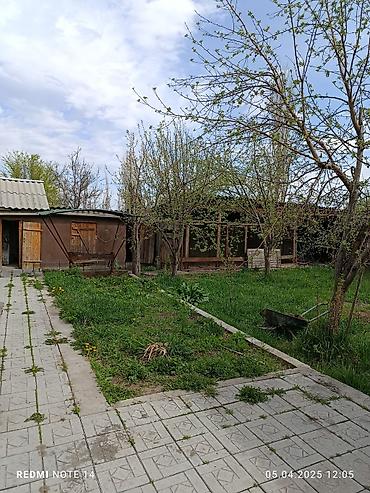 мечит: 📌В селе Беловодское продается большой дом из 4-х комнат с просторной — 9