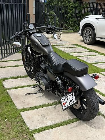Мотоциклы: 🔥 Продаётся Harley-Davidson Iron 883 📅 Год: 2017 💰 Цена: 9 700$ ✔ — 2