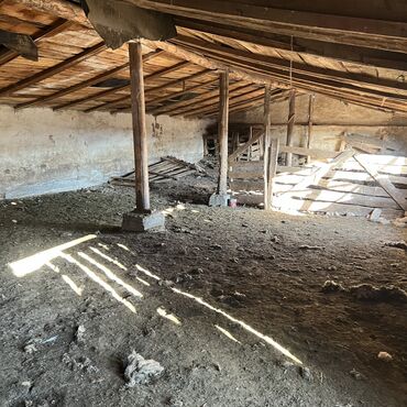 Сельхоз предприятия: Продаю Кошара, 40 соток, Действующий, С оборудованием, Отопление, Холодная вода, Электричество at lalafo.kg — 3 Сельхоз предприятия: Продаю Кошара, 40 соток, Действующий, С оборудованием, Отопление, Холодная вода, Электричество — 3