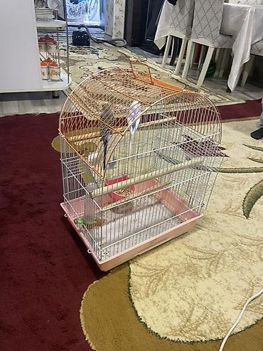 Зоотовары: Dalmatian göyərçinlər üçün qəfəs dəsti - Qəfəs: metal çərçivə, üst — 3