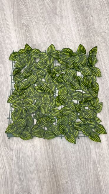 Linoleum: Qi̇ymətlər 10 azn başlayir depodan bir başa satiş suni̇ qazonlar — 30