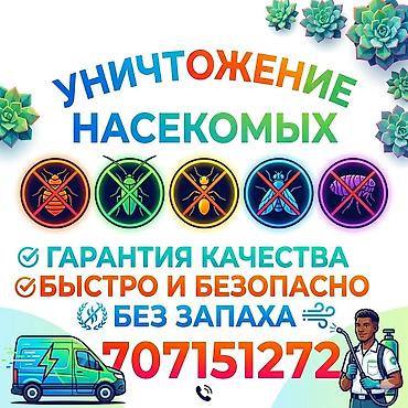 уборка кылам: Дезинфекциялоо, дезинсекциялоо, | Бүргөлөр, Вирустар, микробдор, Канталалар, | Жертөлө, ороо, Подъезддер, Үйлөр — 1