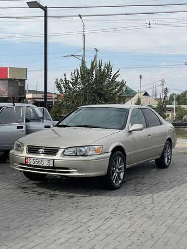 toyota kaldina: Toyota Camry: 2000 г., 2.2 л, Автомат, Газ, Седан